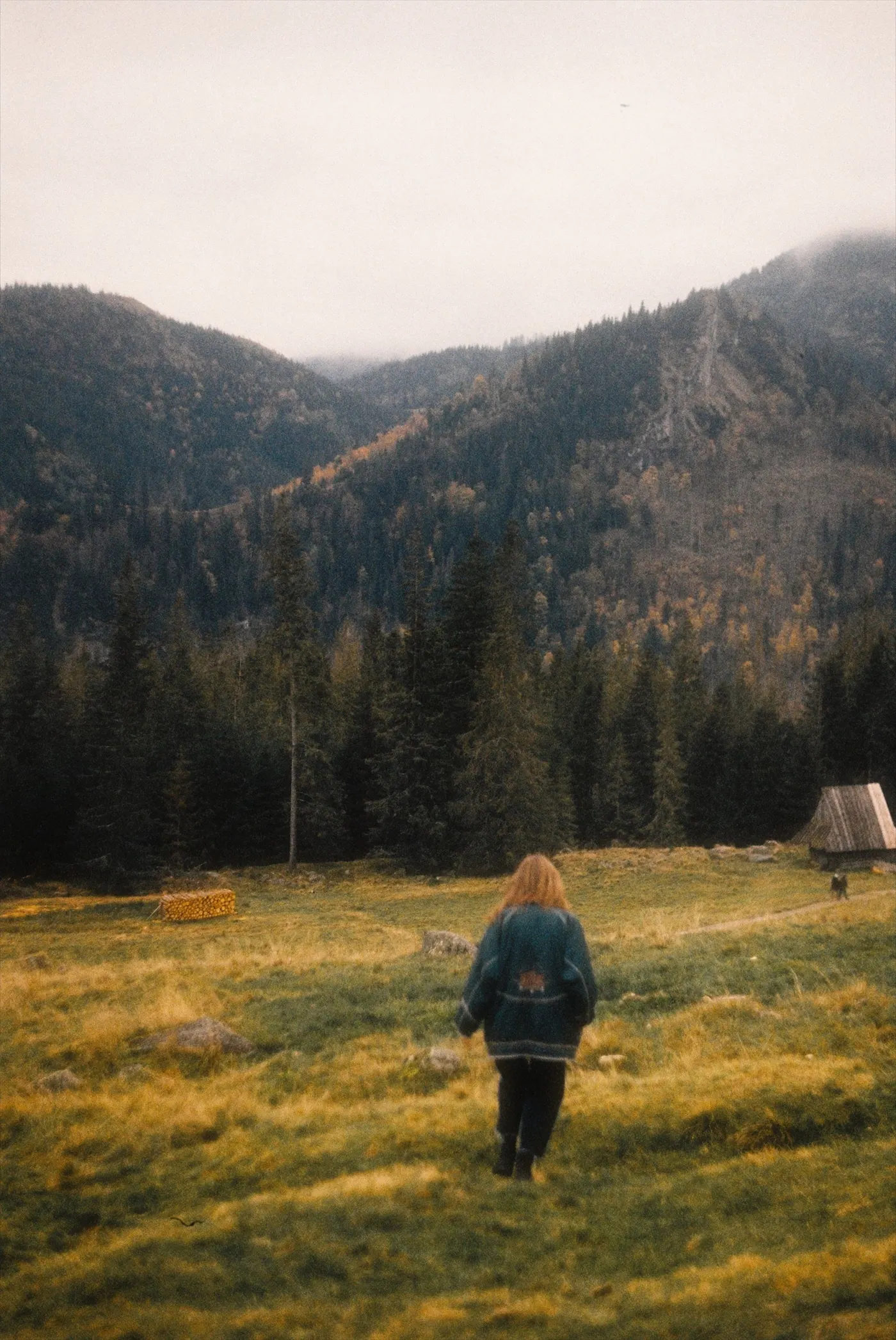 A walker on an autumn mountain path in mist